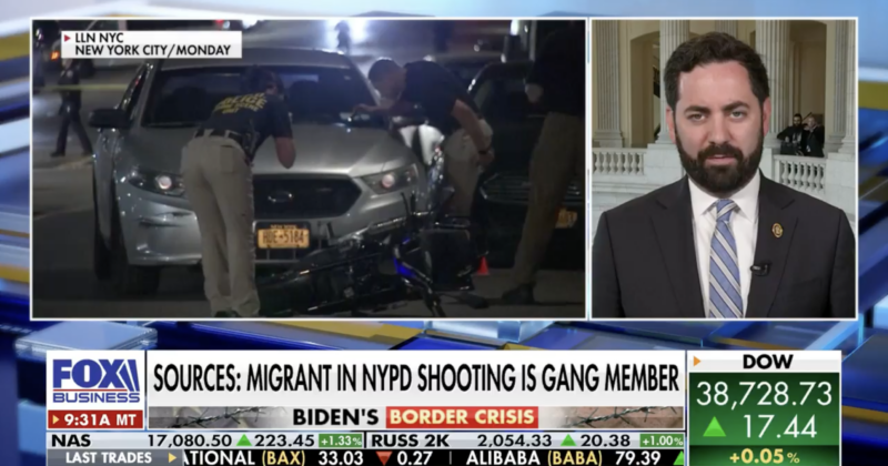 New York, California are ‘dumpster fires’ under Democrat leadership: Rep. Mike Lawler